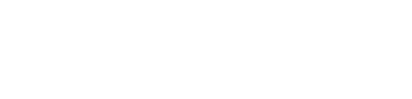 Nemolus Logo